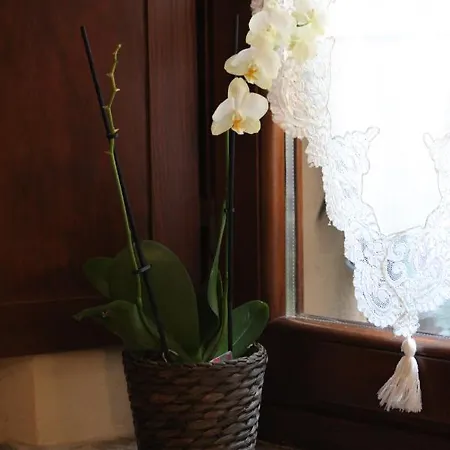 Ferienhaus La Casa Dell' Artista